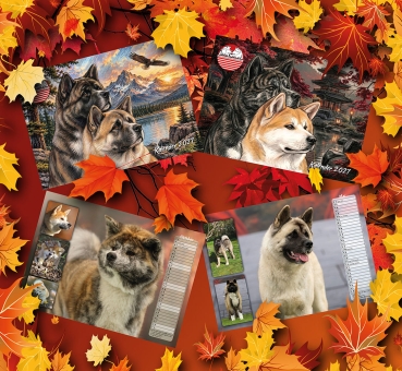 Akita / American Akita Kalender 2027
